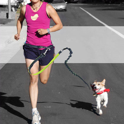 Dogs Leash Running Elasticity Hand Freely Pet Products