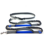 Dogs Leash Running Elasticity Hand Freely Pet Products